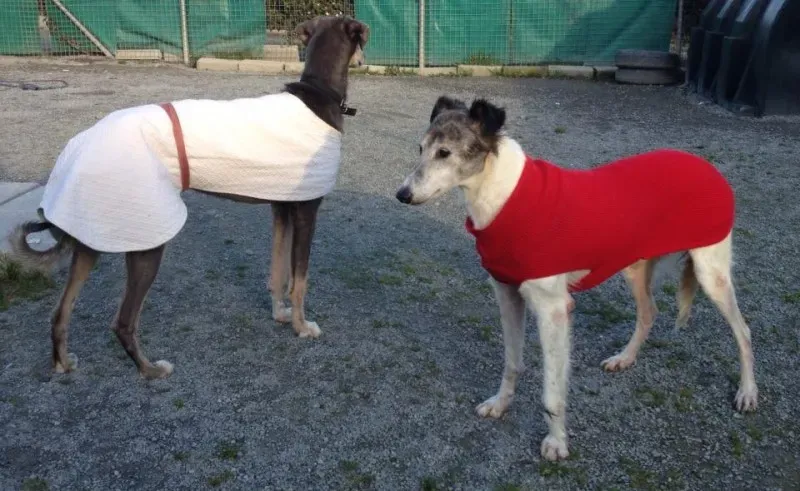 10729007 10152302668915194 656238504 n