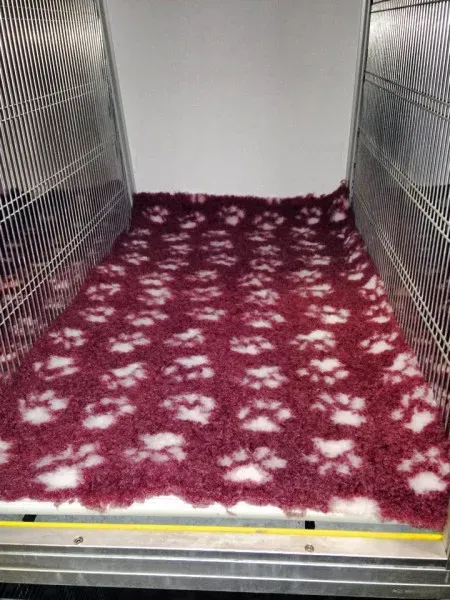 10733571 898047516879970 1628782192 n