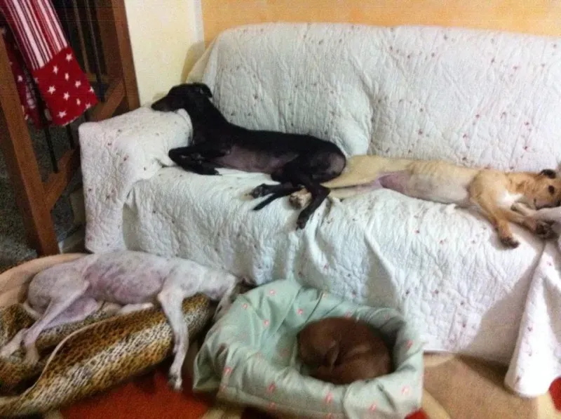 10734034 10202990155176827 5404590193666023082 n