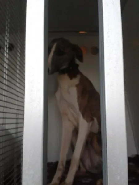 10734234 735223983228126 4534313289361907076 n