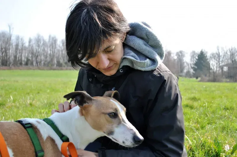 1073842 645343318860177 1045002785 o