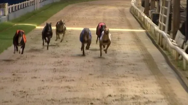 107424842 mediaitem107411358