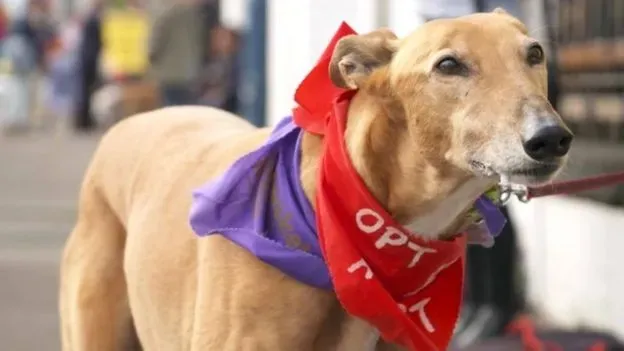 107424959 mediaitem107411366