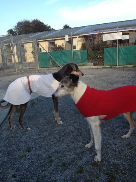 10745052 10152302669220194 1576314336 n