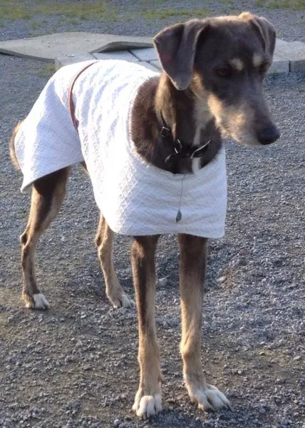 10749489 10152302668770194 462277033 n