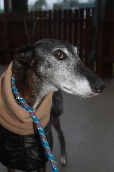 10750238 10152314458770194 2105349712242135703 o