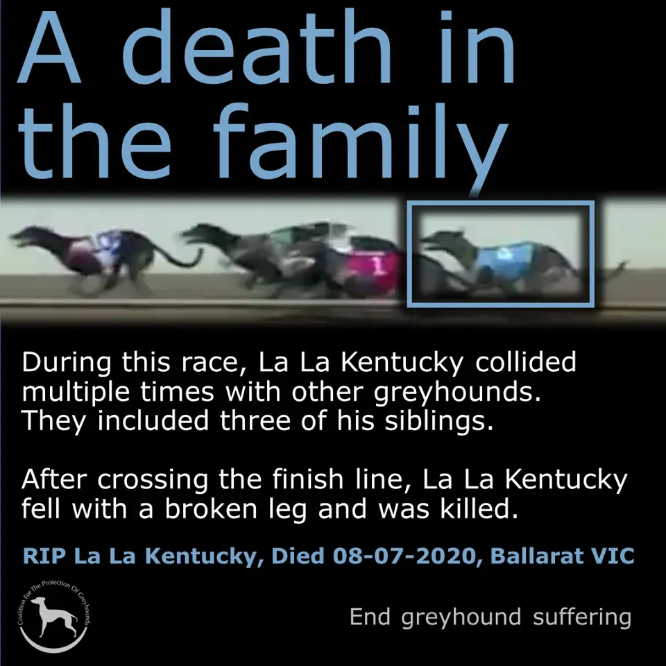 107589414 2345753579064960 985805546391224809 o