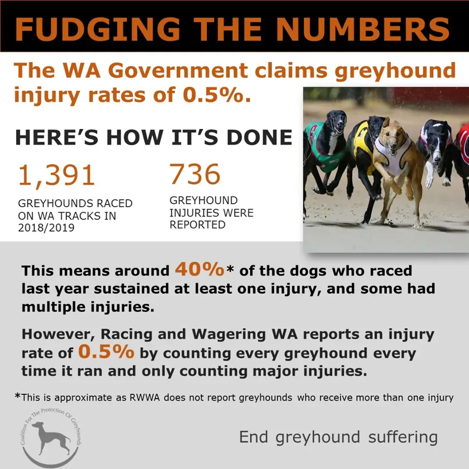 107760815 2346472078993110 3712852517679981897 o