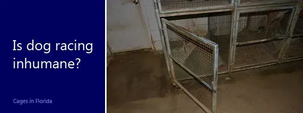 10777 10151956166128354 700654447 n