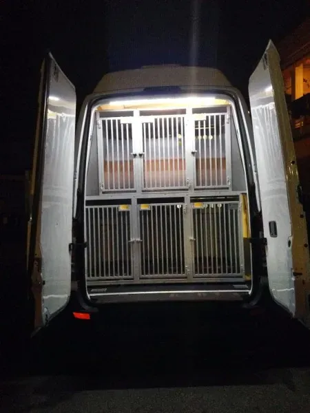 10799646 898048116879910 2071842670 n