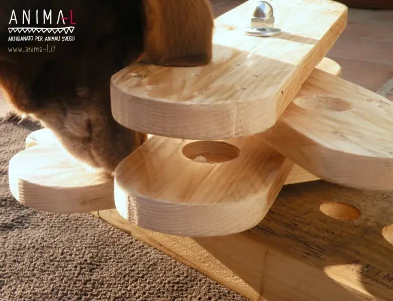 10801651 724147467669111 6361399853379665080 n