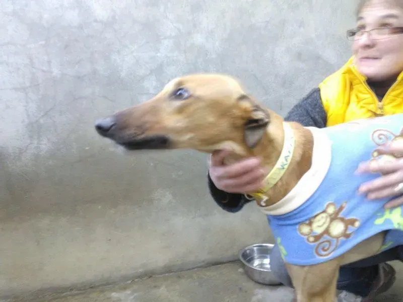 10801666 735161383234386 4745915385567980687 n