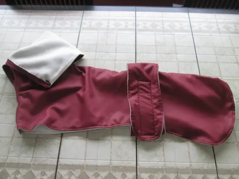 10801926 724002991016892 2370450586589910970 n