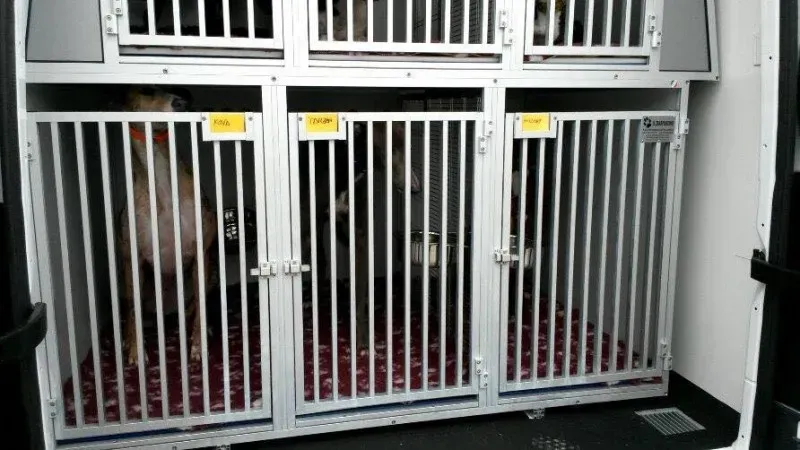 10805565 785502804866910 6458034825951632740 n