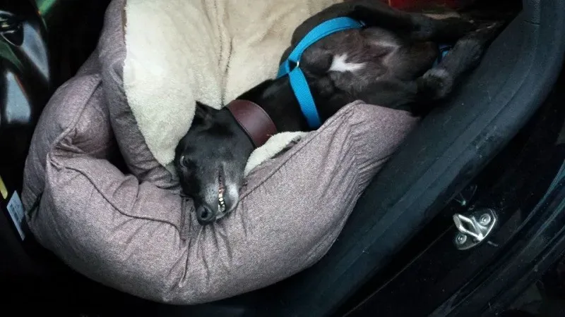 10805589 672542399510223 503088536504134962 n