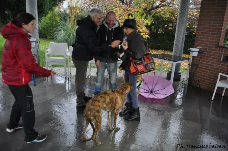 10805679 729843650432826 5003685263919463739 n