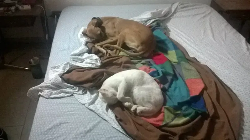 10805716 735090563249216 8129439479659762443 n