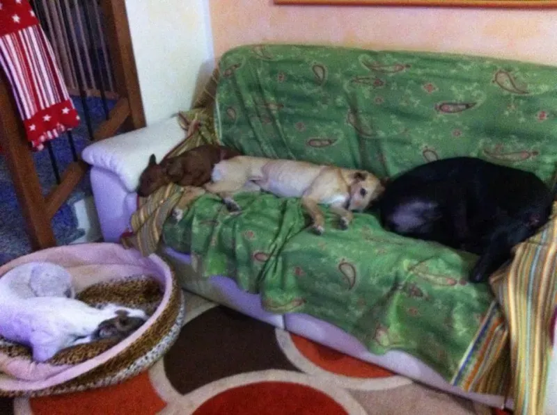 10806437 10202980107765648 4920675008174624459 n