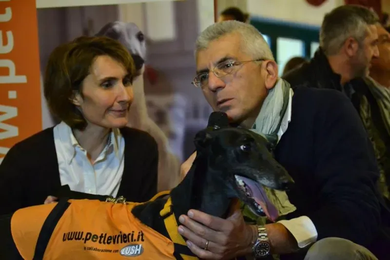 10806454 730140213736503 6500268107321038249 n