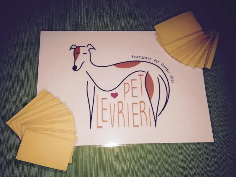 10808056 898047383546650 640823477 n