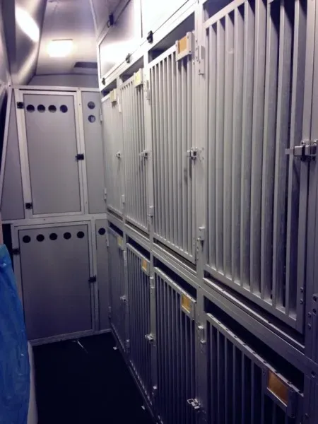 10815637 898047450213310 433305461 n