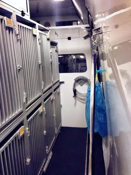 10815815 898047650213290 1280864701 n