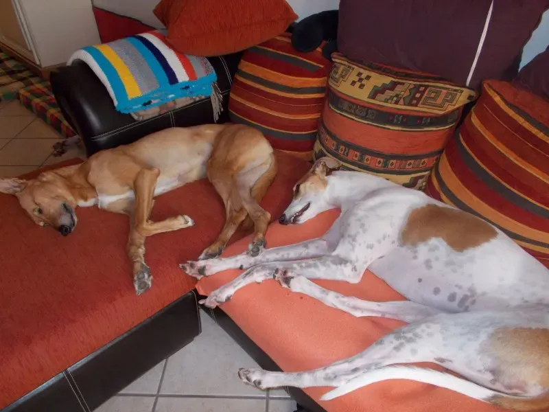 10818216 10202067401006800 4939988707112676028 o