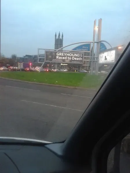 10818484 10203875591463666 1846073757091357310 o