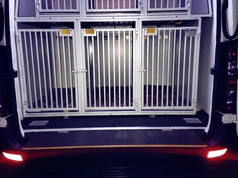 10818817 898047926879929 1941539508 n