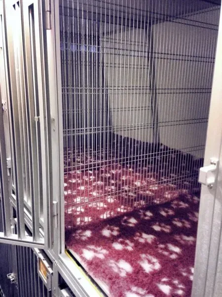 10822320 898047456879976 1154964110 n