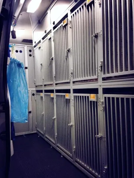 10822491 898047763546612 1206929963 n1