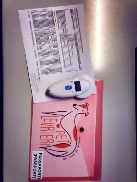 10822548 898047983546590 1456088889 n