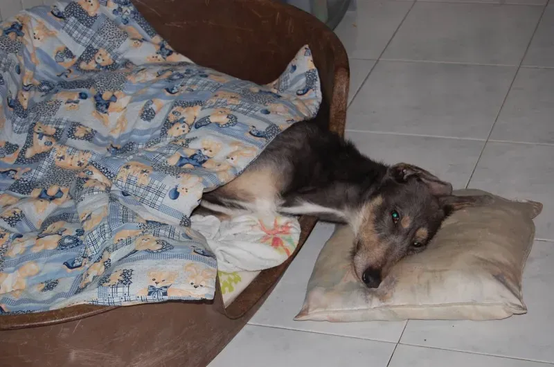 10827960 10205065128418176 5971503124200384736 o