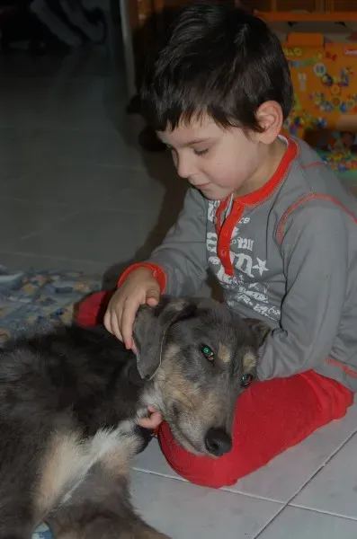 10834864 10205065138338424 6769743710766917058 o