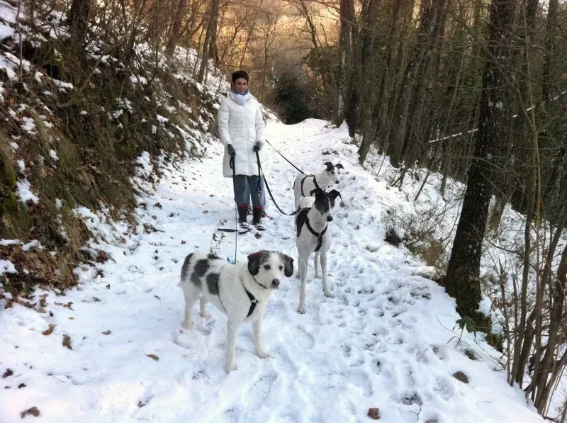 10834969 10204909025318409 6071329565705358012 o