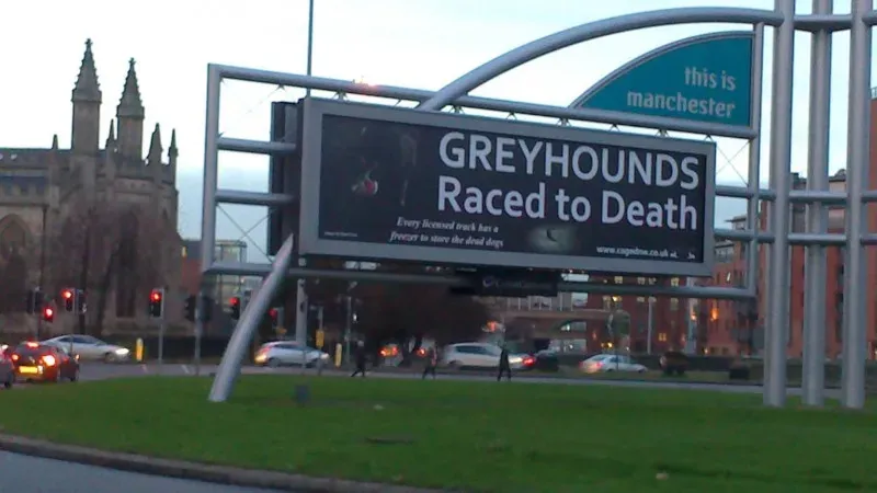 10835424 720993998008738 3015278882643263439 o