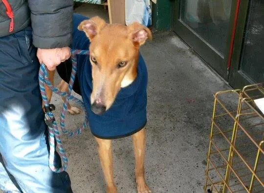 10841349 10204803760991677 178732150 n