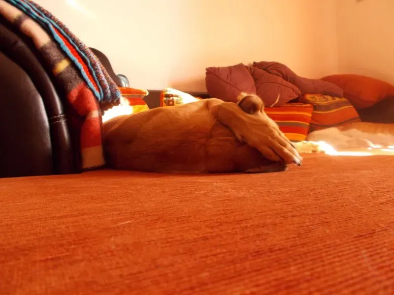 10841752 10202167830517475 6496749565701451412 o