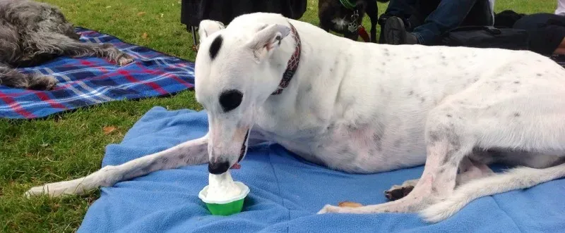 10842276 1593489020884640 7365997250539186489 o