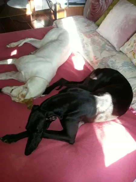 10847544 10205146228289109 3882689412587936135 o