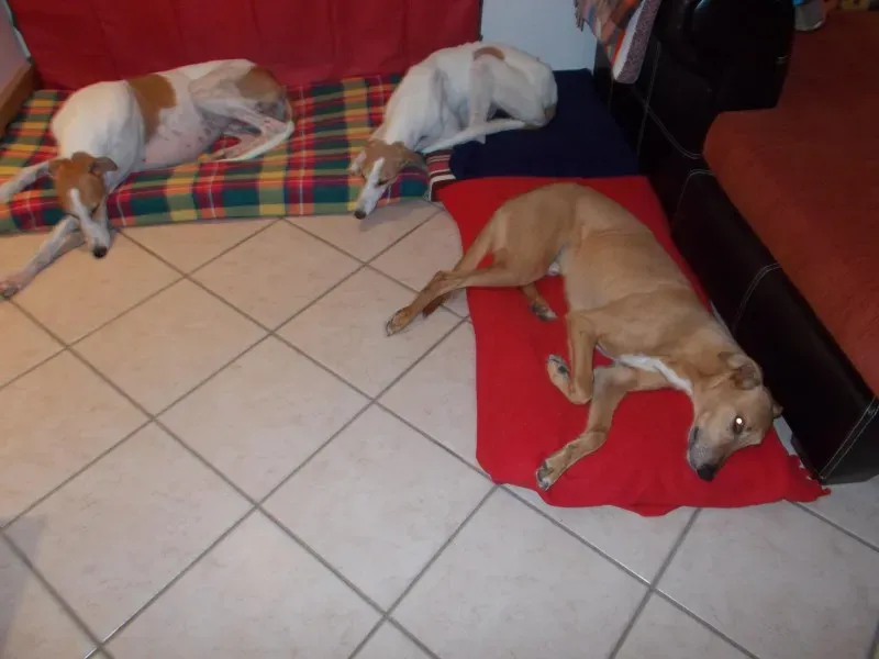 10847748 10202195148360404 4373211232064128905 o