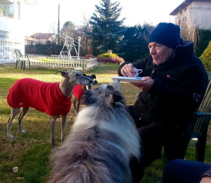 10847766 10203275519424353 6293869718247839860 n