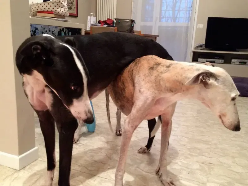 10848908 618060828320330 6742524439586212761 o