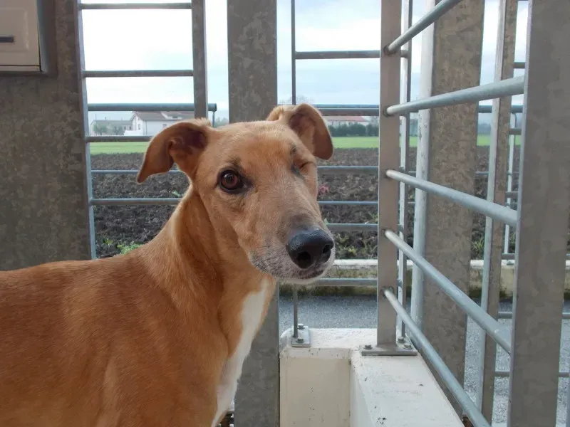 10849015 10202146779111203 4755287486621797789 o