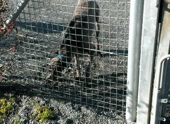 10850253 784590204958170 3381015803542316725 n