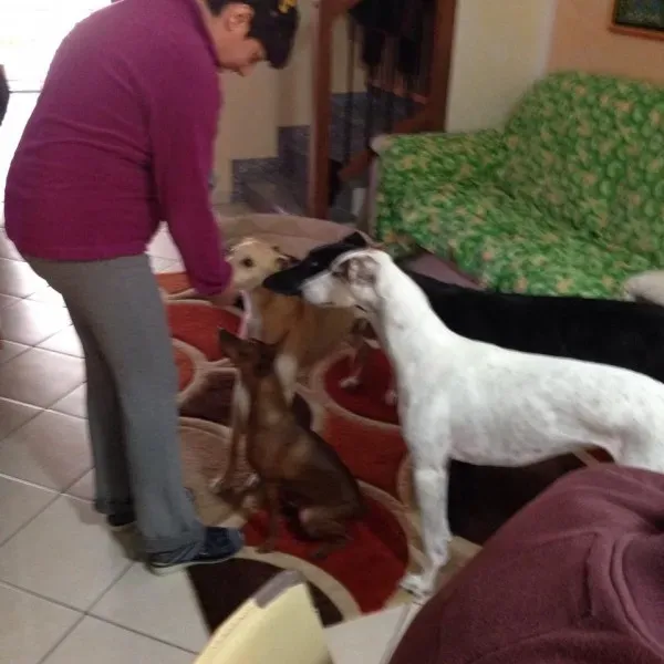 10850277 10203294764792194 1503548484088971096 n