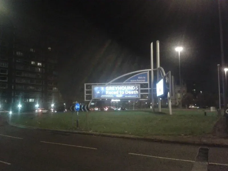 10857988 723978804376924 8097300177063682277 n