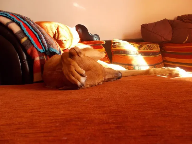 10862526 10202167826197367 341993080637700472 o