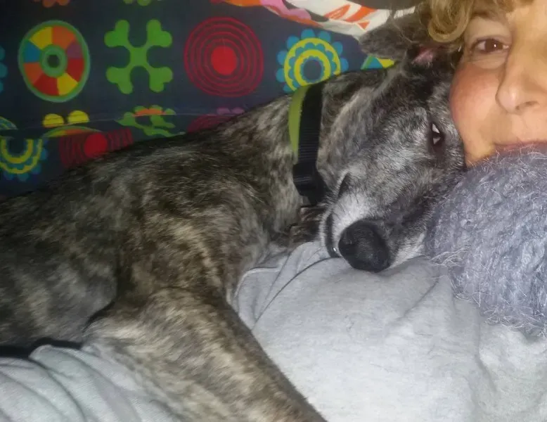 10866160 10206404247653324 2645983750718303737 o