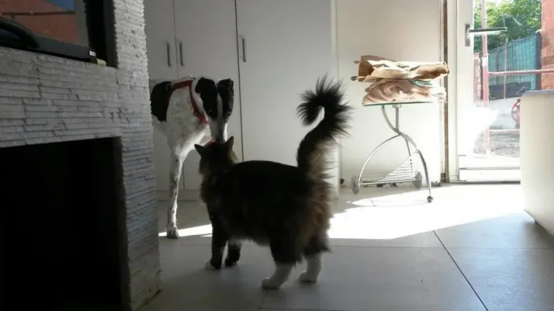 10868099 757590484324809 7891536832806948358 n